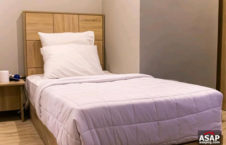 Furnished Flat for Rent in Zamalek Furnished Flat for Rent in Zamalek