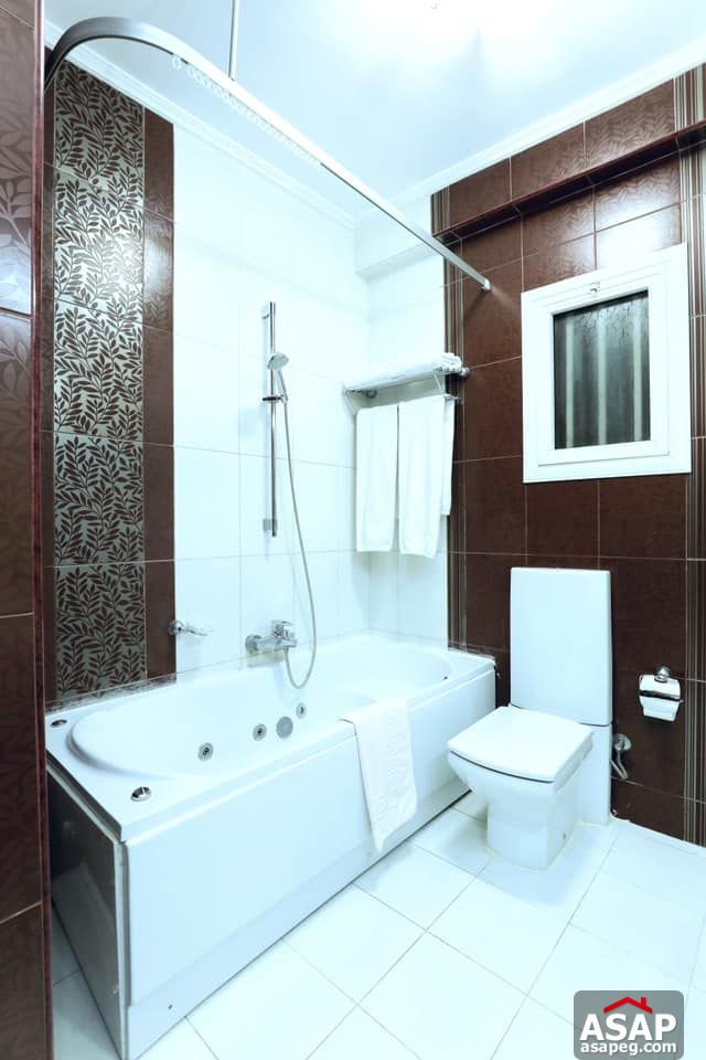 Apartment for Rent in Zamalek Apartment for Rent in Zamalek