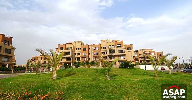 Duplex for Sale in Casa Compound , Sheikh Zayed City Duplex for Sale in Casa Compound , Sheikh Zayed City