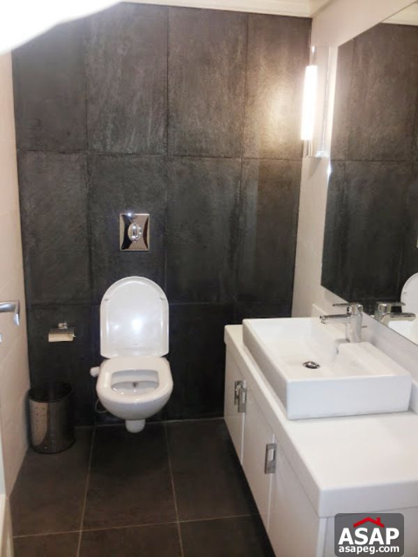 Apartment with Garden in Zamalek Apartment with Garden in Zamalek